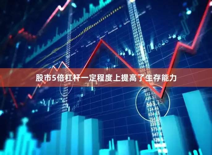 股市5倍杠杆一定程度上提高了生存能力